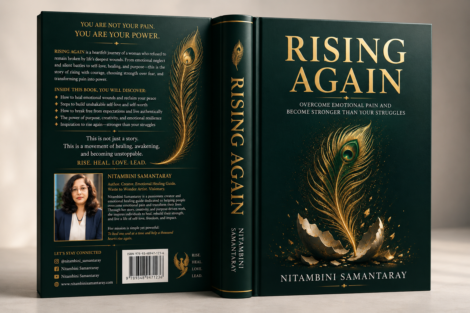 Rising Again book cover set